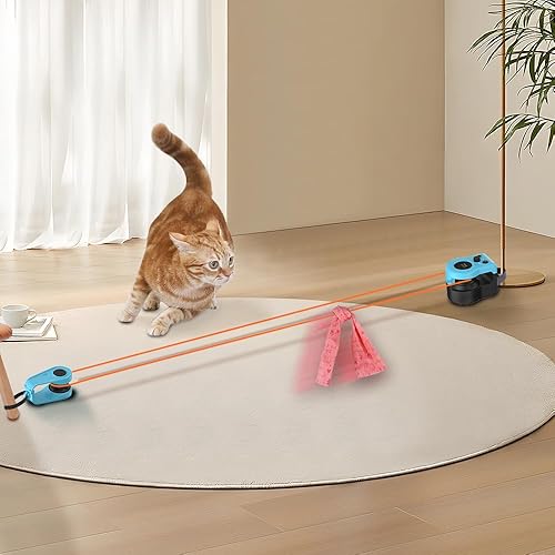 Pawdia Escaping Mouse