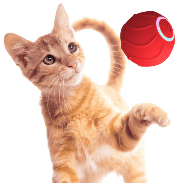 PawdiaBall: Cat Play Delight
