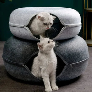 Tunnel-donut-chat-Griffe-d_Amour-0008_1.webp