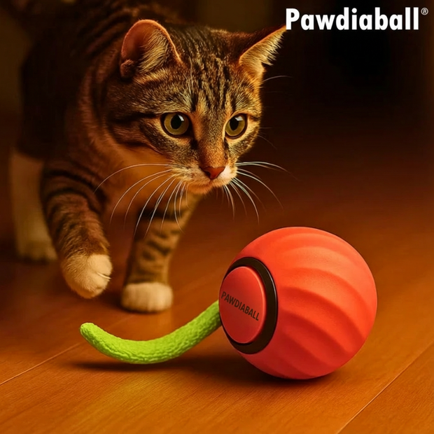 Pawdia Ball