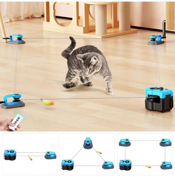 Pawdia Escaping Mouse